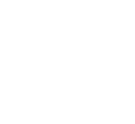 White-Bramac-Logo-Web